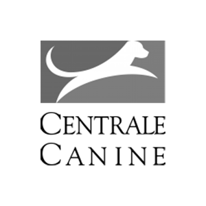 Logo client Centrale-Canine my english training formation anglais